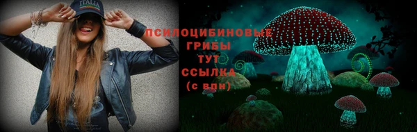 бошки Арсеньев