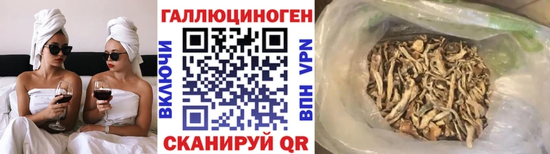 ссылка на мегу tor как найти закладки Валдай Галлюциногенные грибы прущие грибы